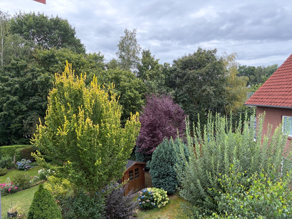 Alles NEU - Erstbezug nach Sanierung - Ausblick vom Balkon