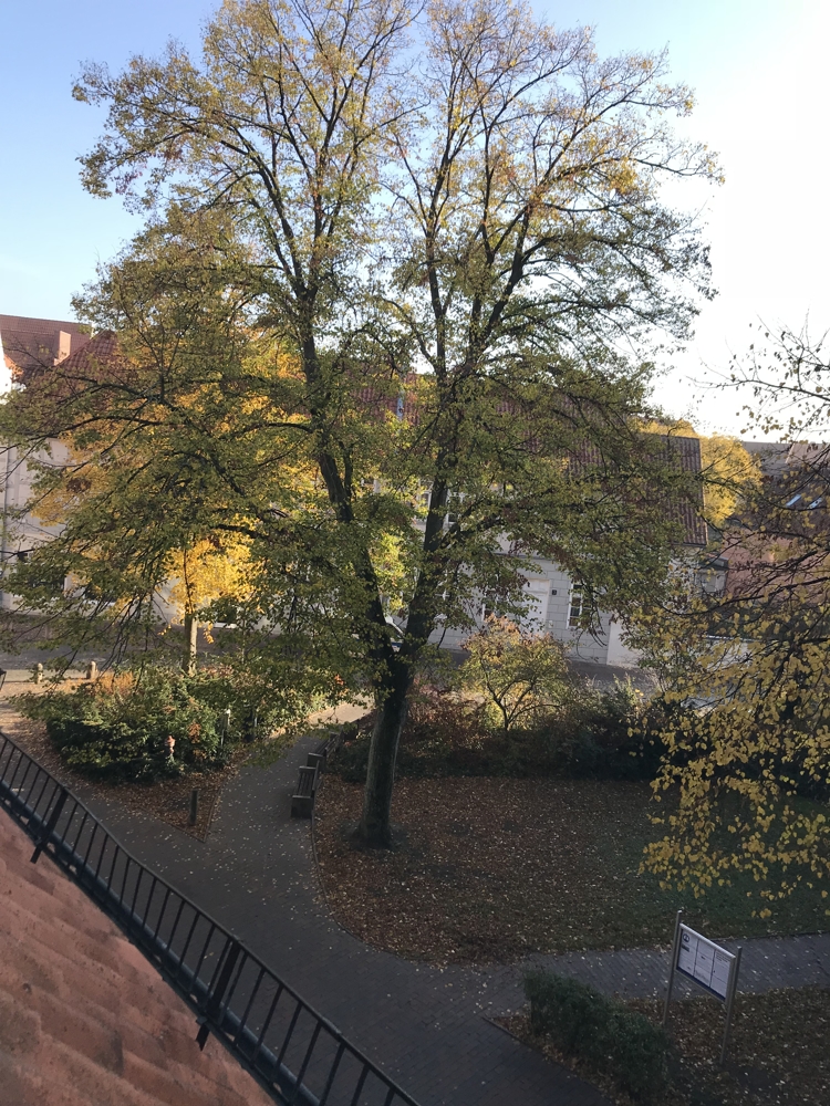 Dachgeschosswohnung in Stadtlage - Ausblick