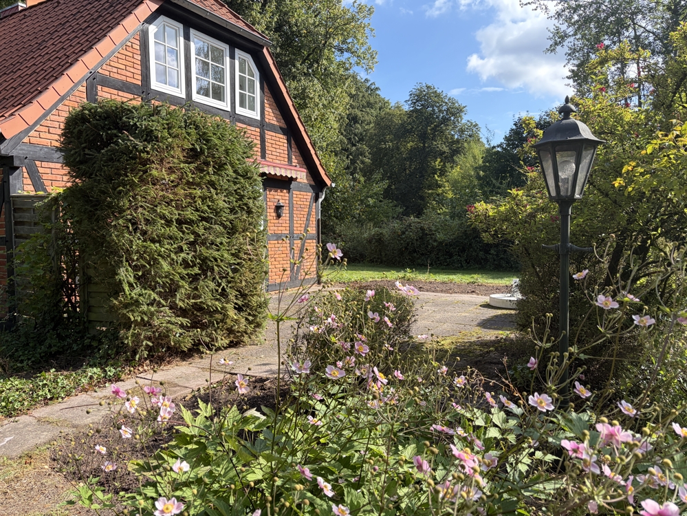 Neues gemütliches Zuhause - Terrasse