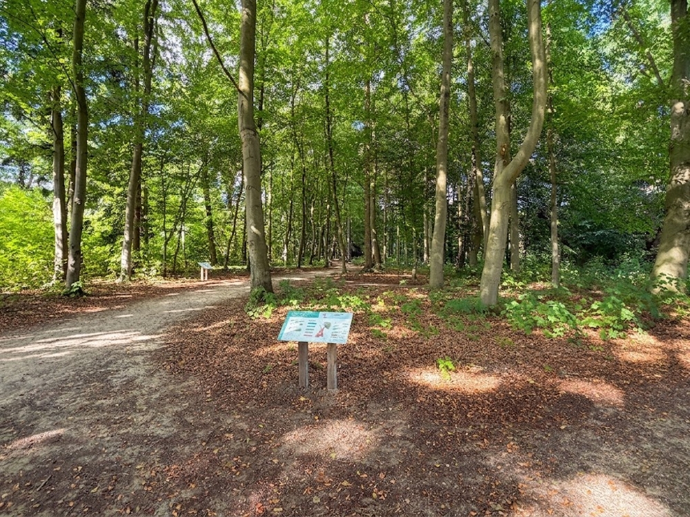 Einmalige Lage direkt am Kurpark - Kurpark